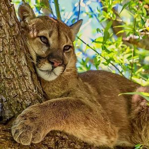 Meet your Posher, Jan